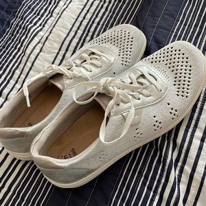 Earth origins Paxton